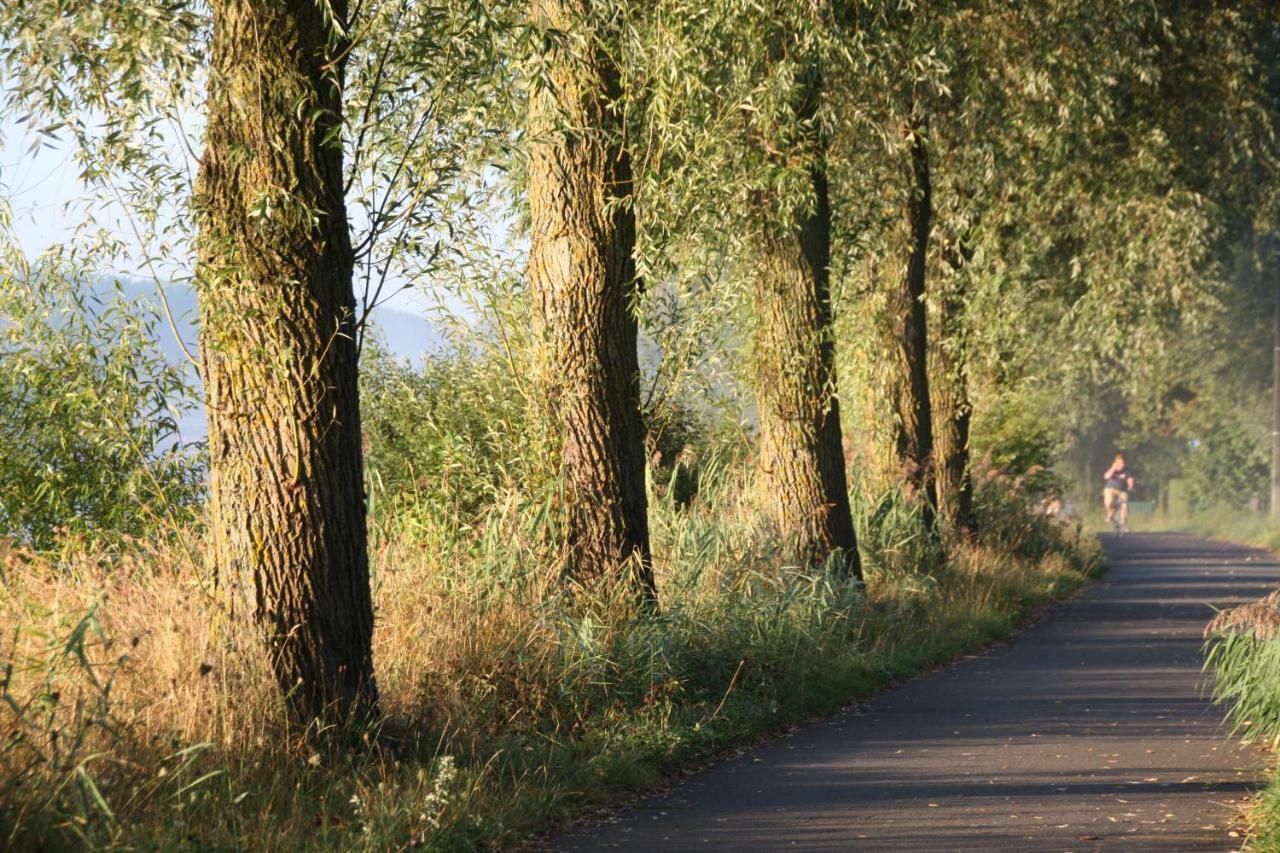 B&B The View Bis Kortrijk Eksteriør billede